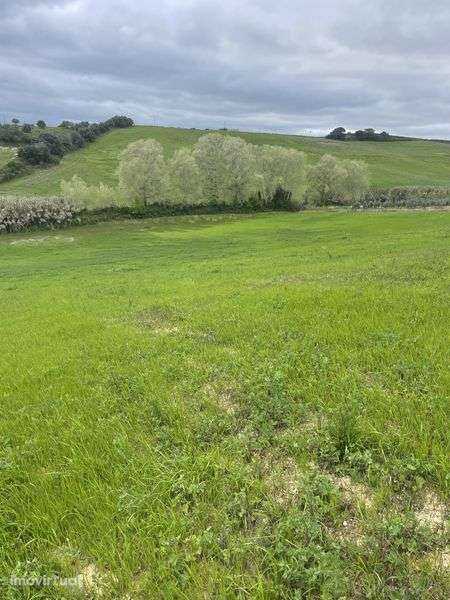 Terreno agricola 2,4ha - Grande imagem: 4/9