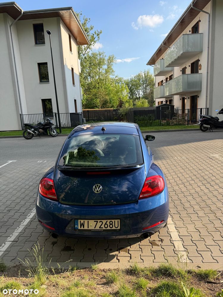 Volkswagen Beetle - 6