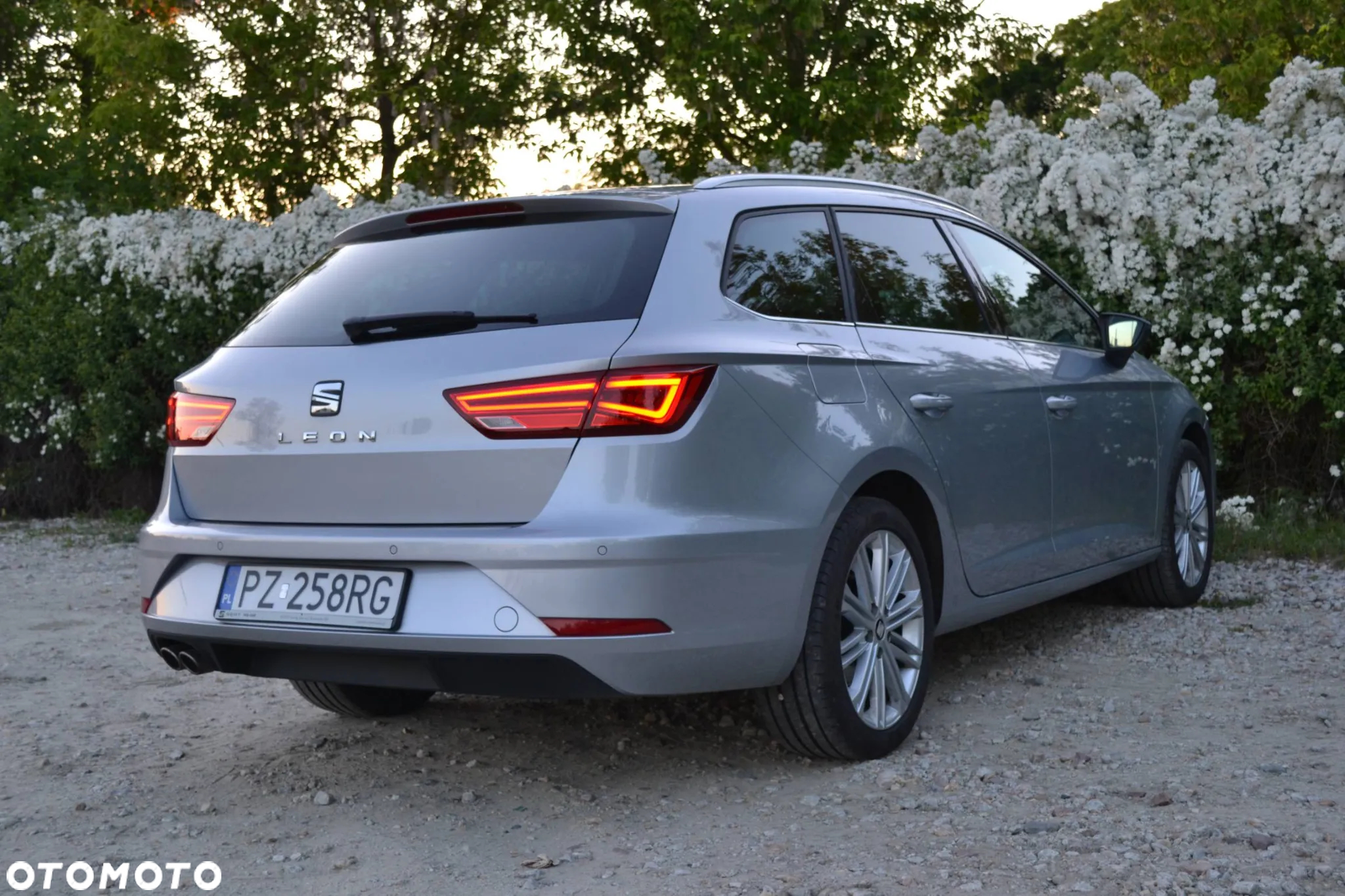 Seat Leon 2.0 TDI Xcellence S&S DSG - 11