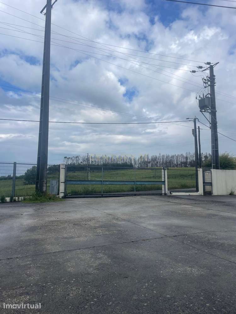 Centro Logístico e Industrial Renovado | 1.294 m² | Câmaras de Frio e - Grande imagem: 2/50