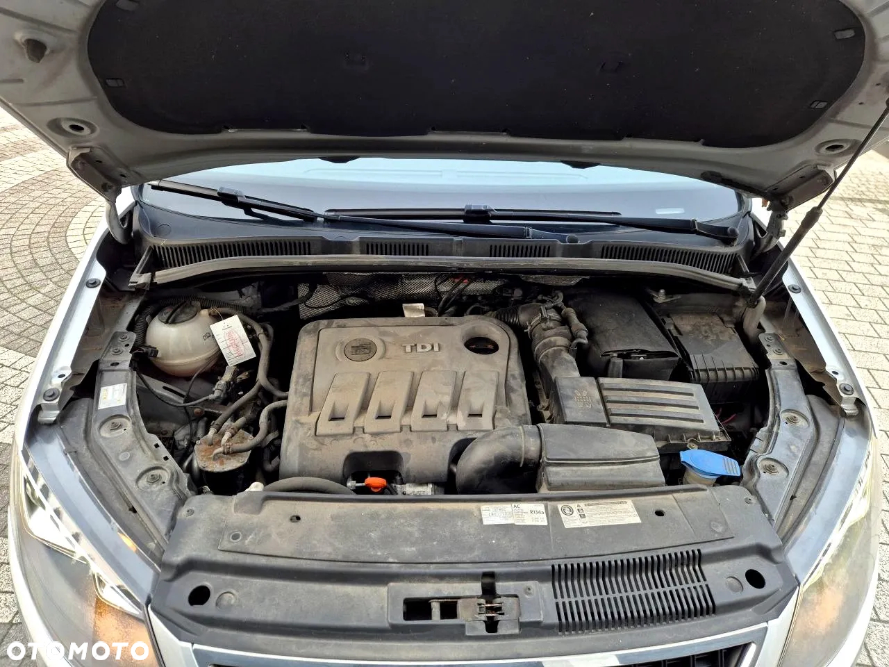 Seat Alhambra - 33