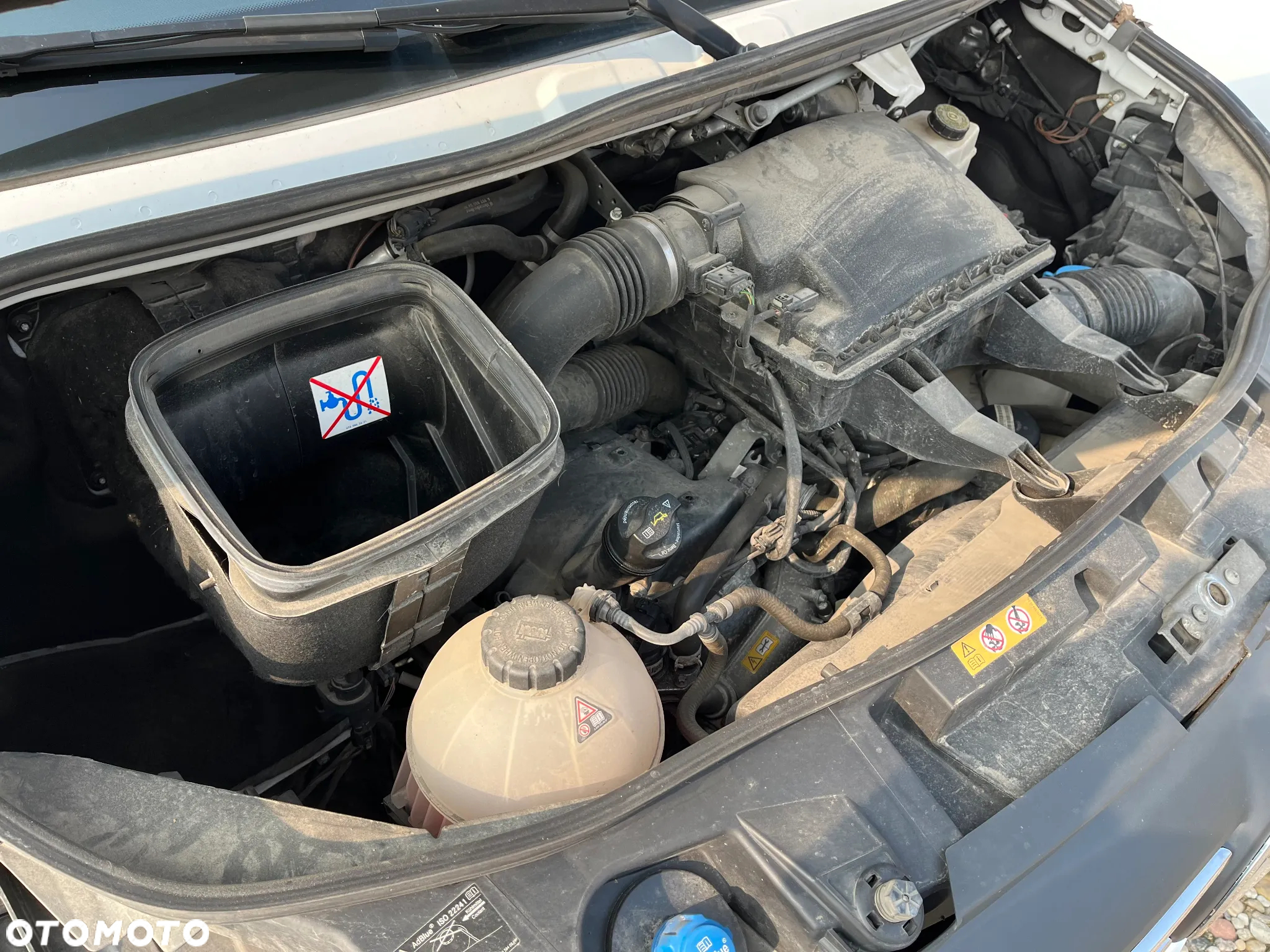 Mercedes-Benz SPRINTER 319 V6 L3H2 - 21