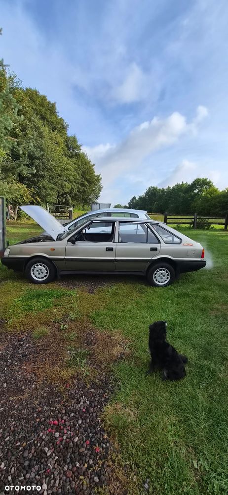 Polonez Caro - 18