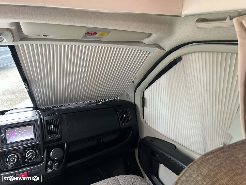 Fleurette Migrateur 63LG - 17