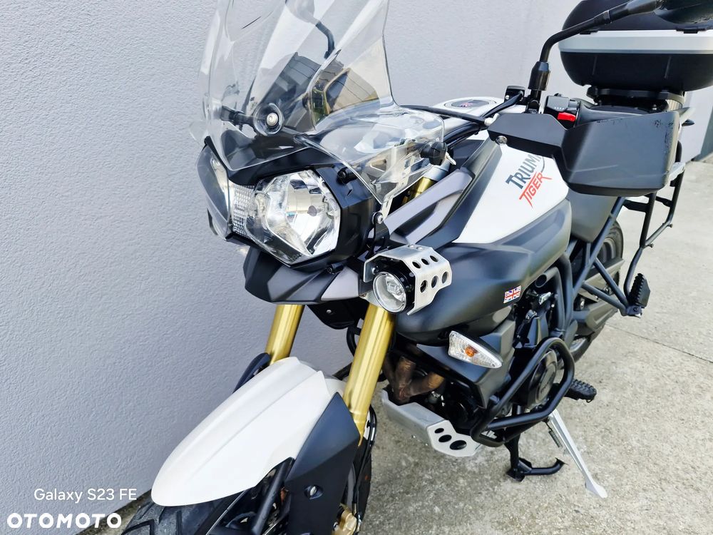 Triumph Tiger - 31