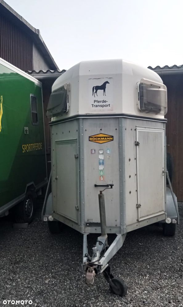 Boeckmann Cavallo - 4