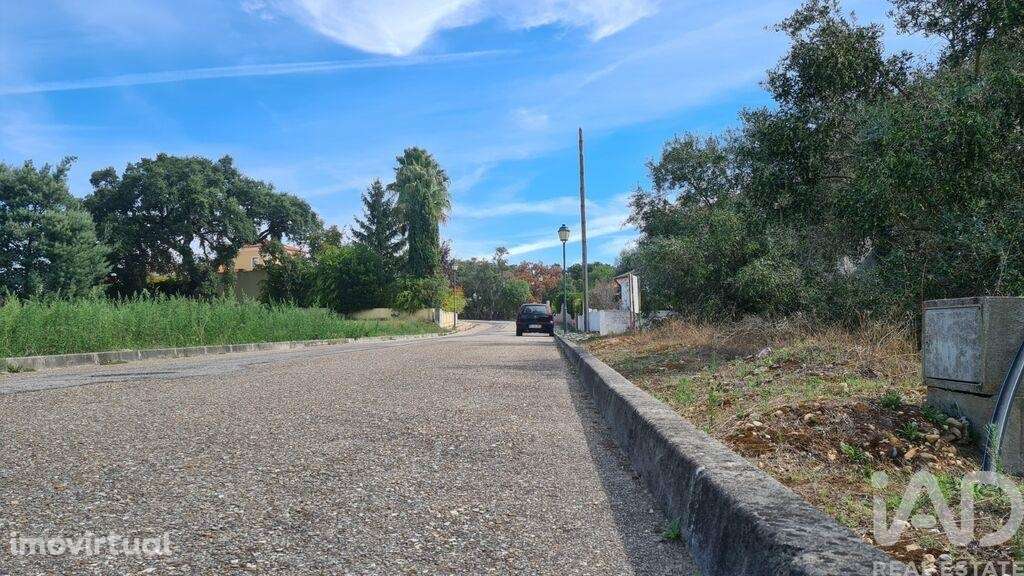 Terreno em Chamusca e Pinheiro Grande de 647,00 m2 - Grande imagem: 5/11