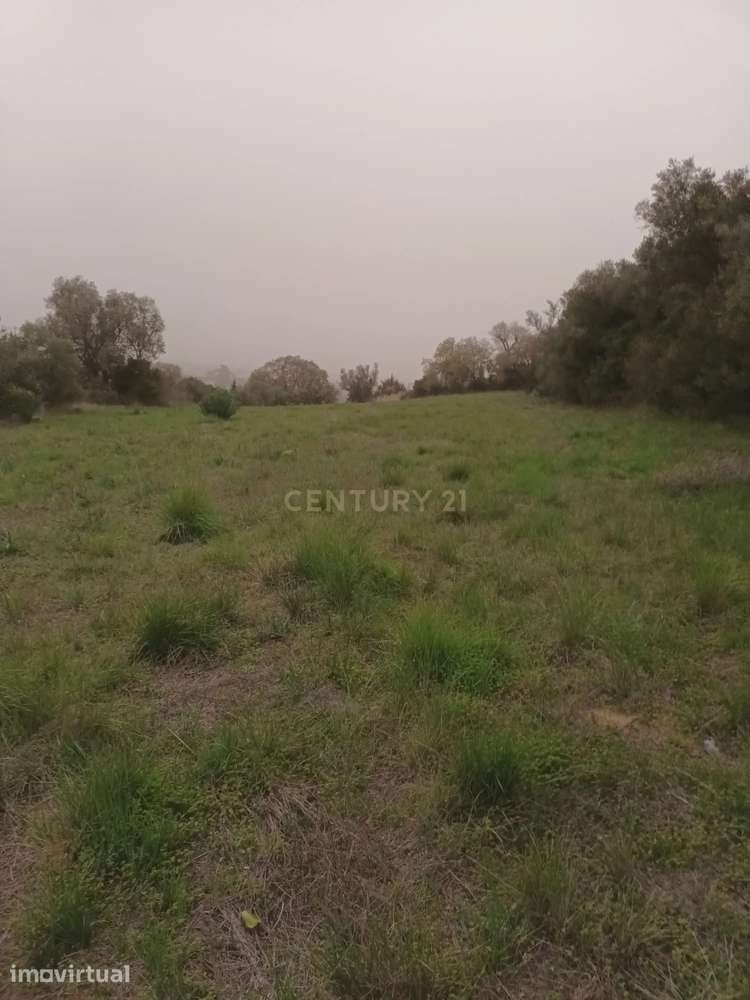 Terreno de 5.596 m² com Vista Arrábida e Potencial Construtivo - Grande imagem: 4/31