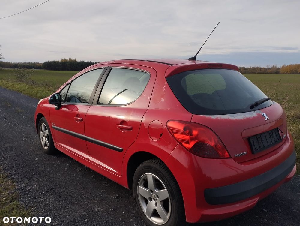 Peugeot 207 - 5