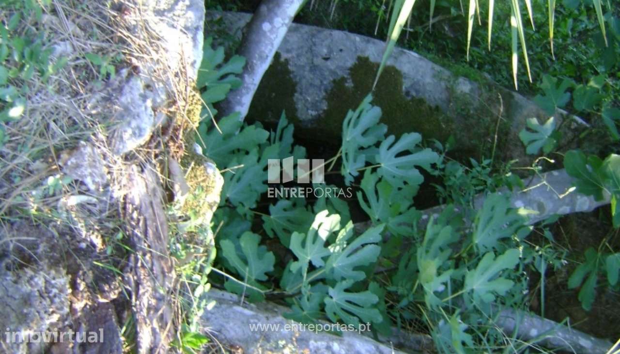 Venda Terreno, Penha Longa, Marco de Canaveses - Grande imagem: 2/7