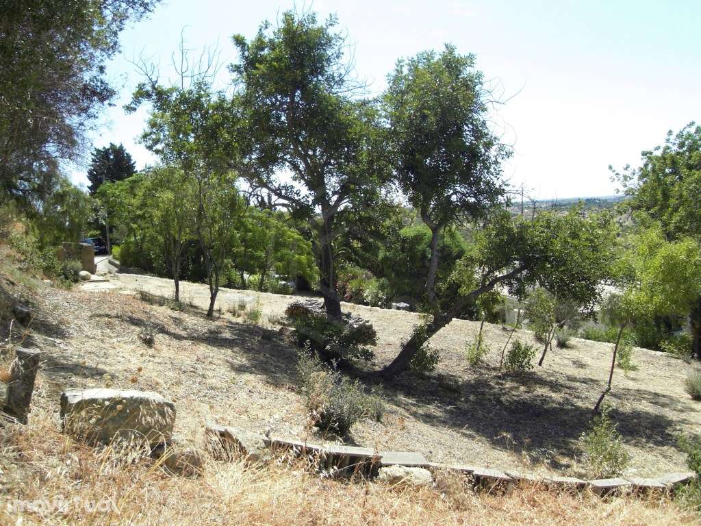 Terreno misto na Mexilhoeira Grande, Algarve - Grande imagem: 3/17