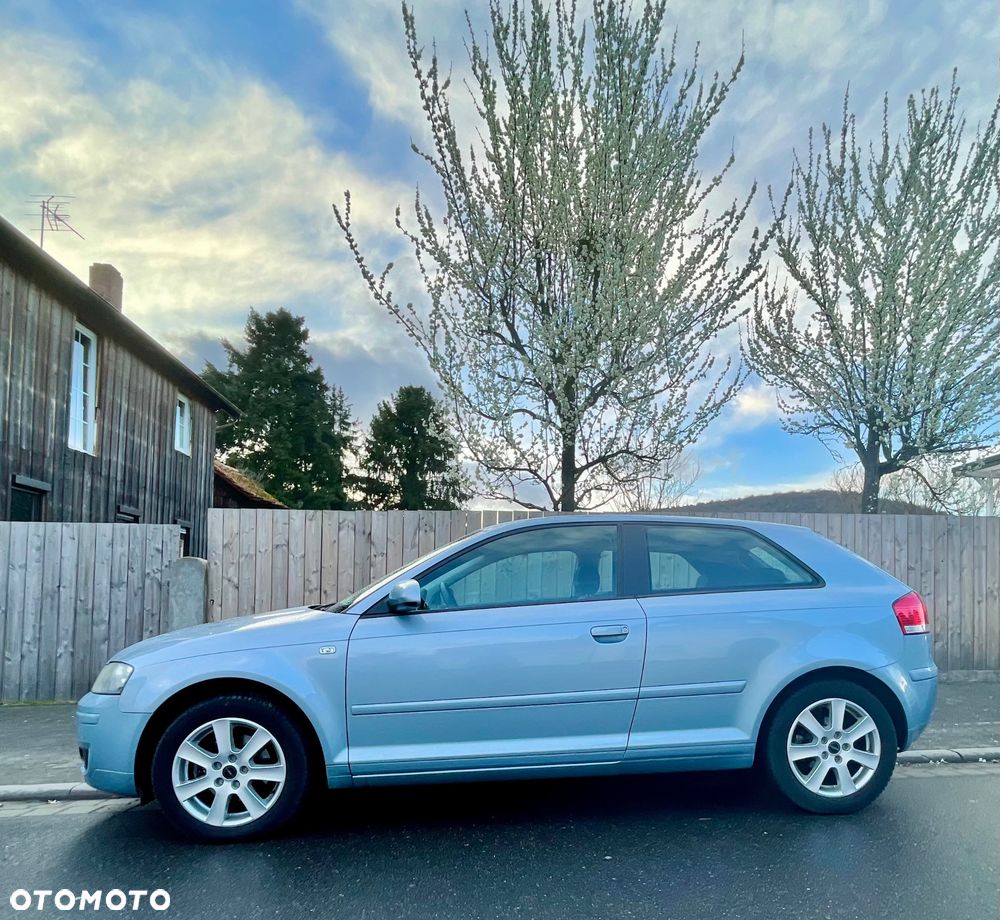 Audi A3 3-drzwiowe 1.6 Ambiente - 2