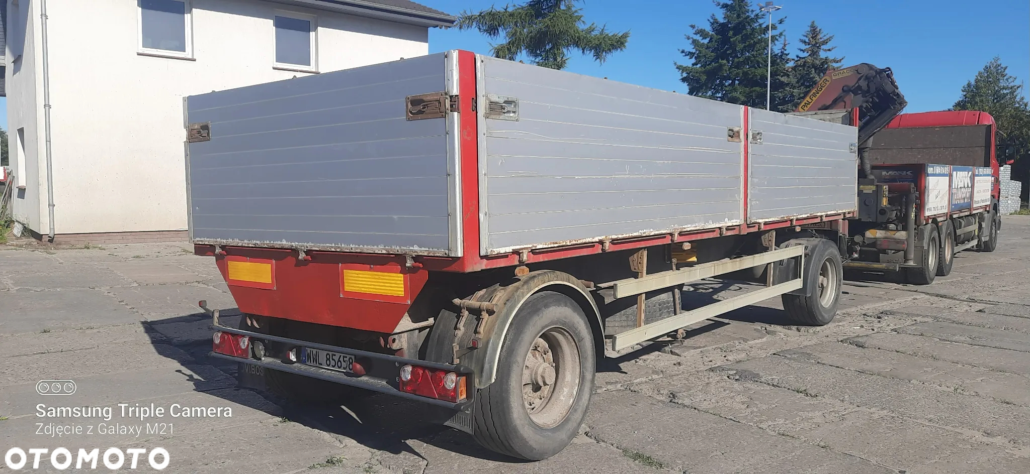 Ovibos P18BA - 3