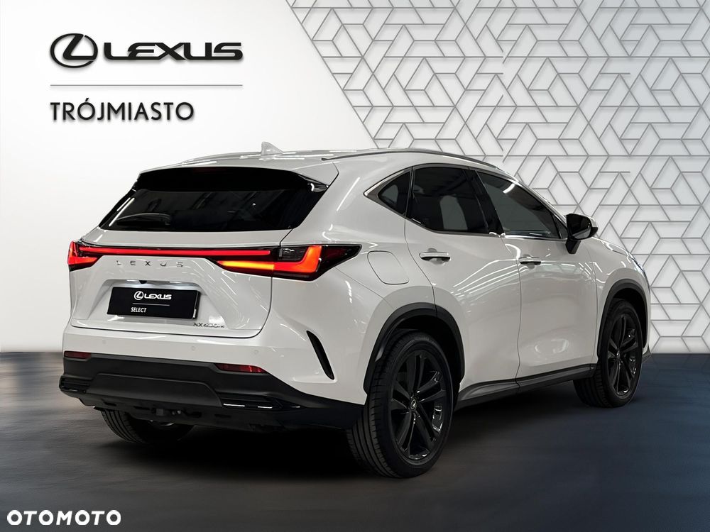 Lexus NX - 6