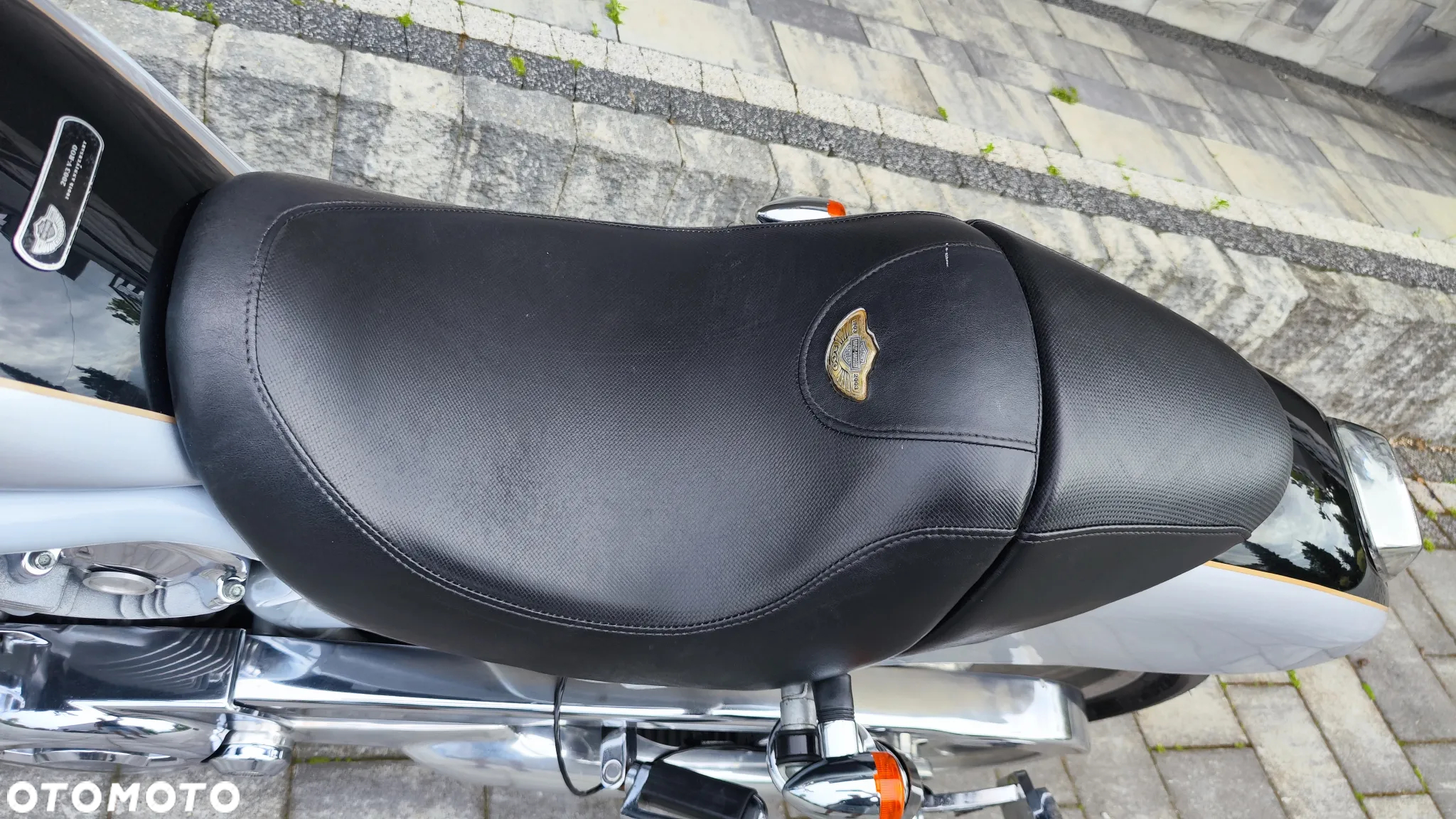 Harley-Davidson Softail V-Rod - 15