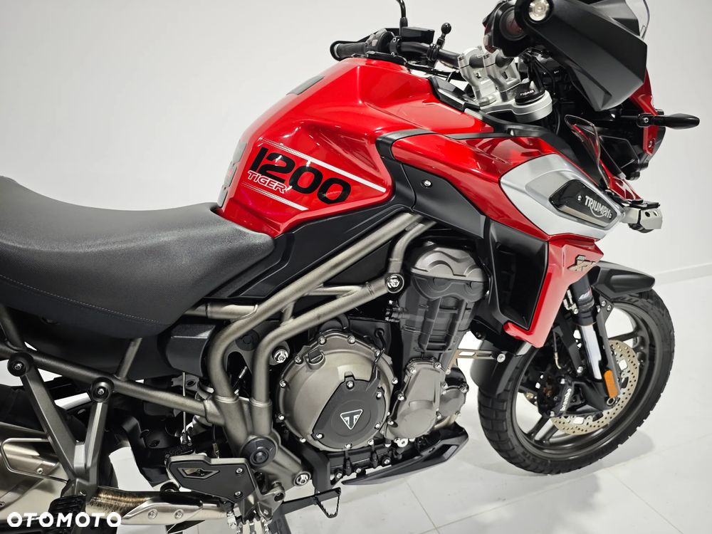 Triumph Tiger - 15