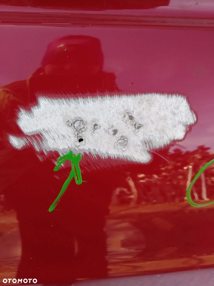 G307/G308/G315/G317/G318/G320/G565 DRZWI TESLA S  lewe przód - 13