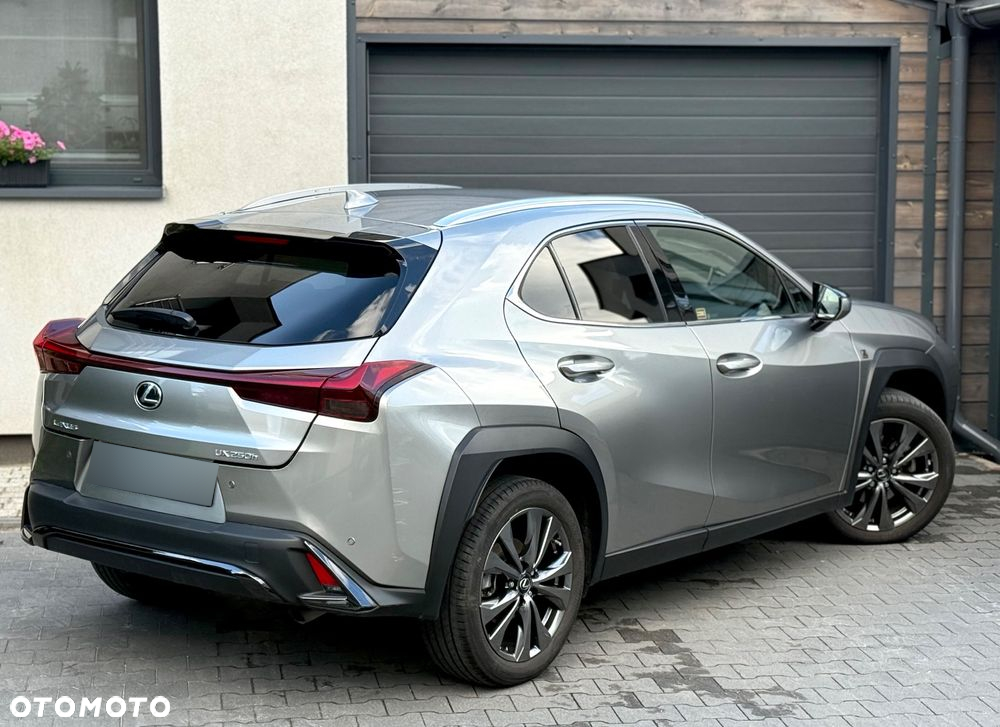 Lexus UX 250h GPF F Sport Design+ 2WD - 13
