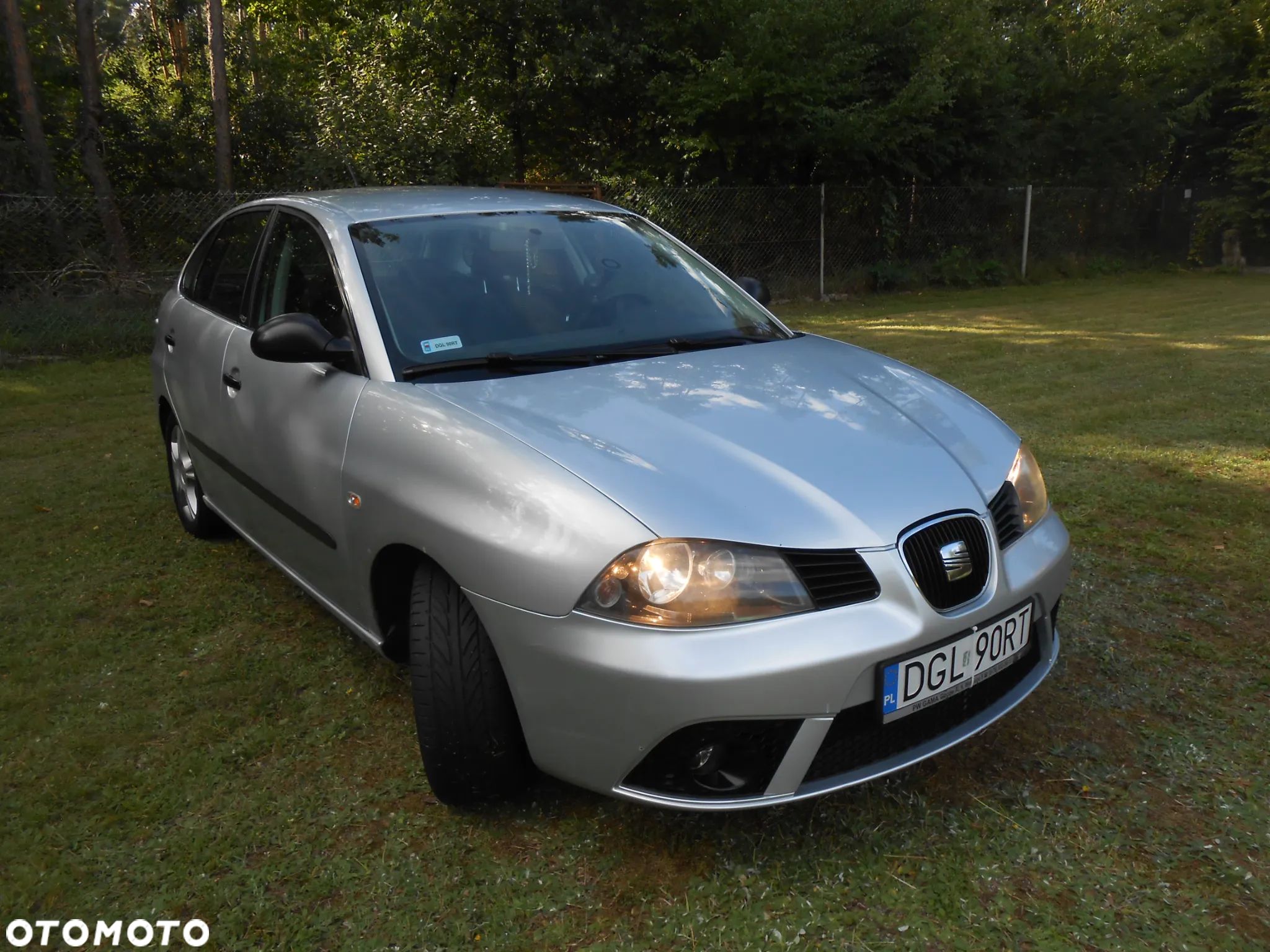 Seat Ibiza - 1