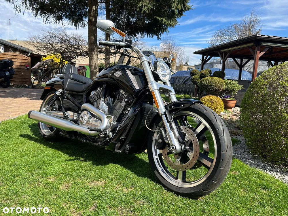 Harley-Davidson V-Rod Muscle - 1