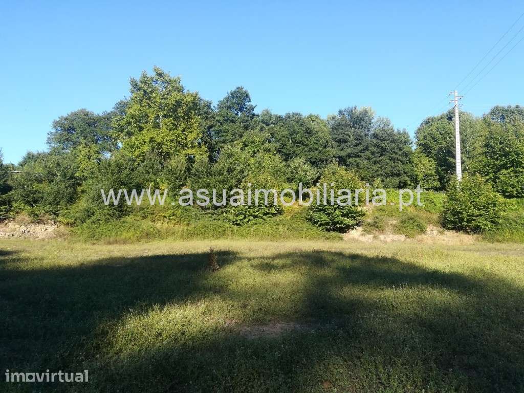 Terreno Agrícola - Caldelas - Grande imagem: 2/4