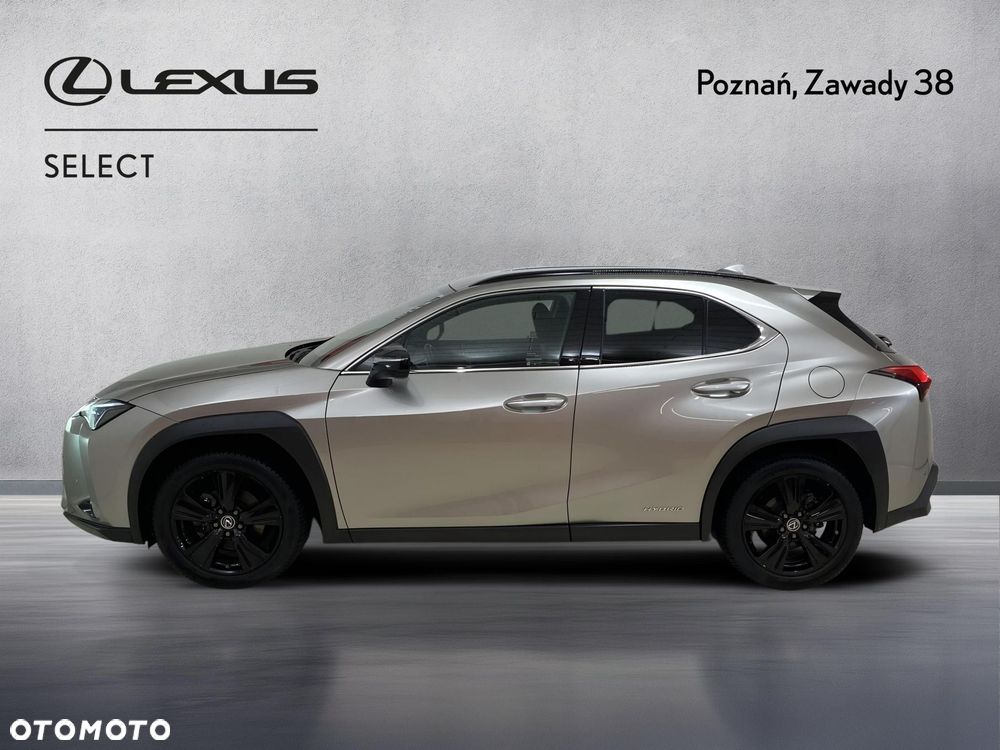 Lexus UX - 7