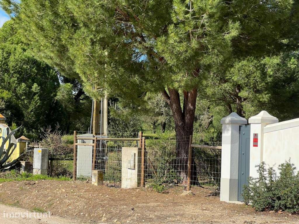 Terreno - Mata do Duque I - 300.000€ - Grande imagem: 3/20