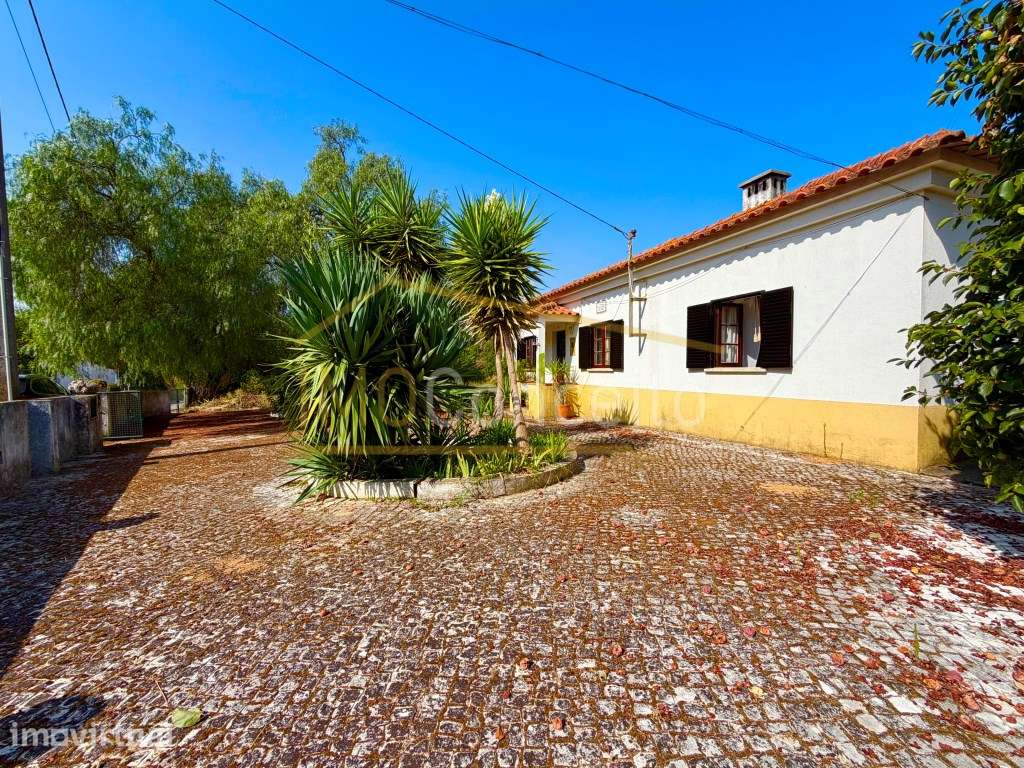 Moradia T3 em Porto Mendo - Tomar - Grande imagem: 5/31