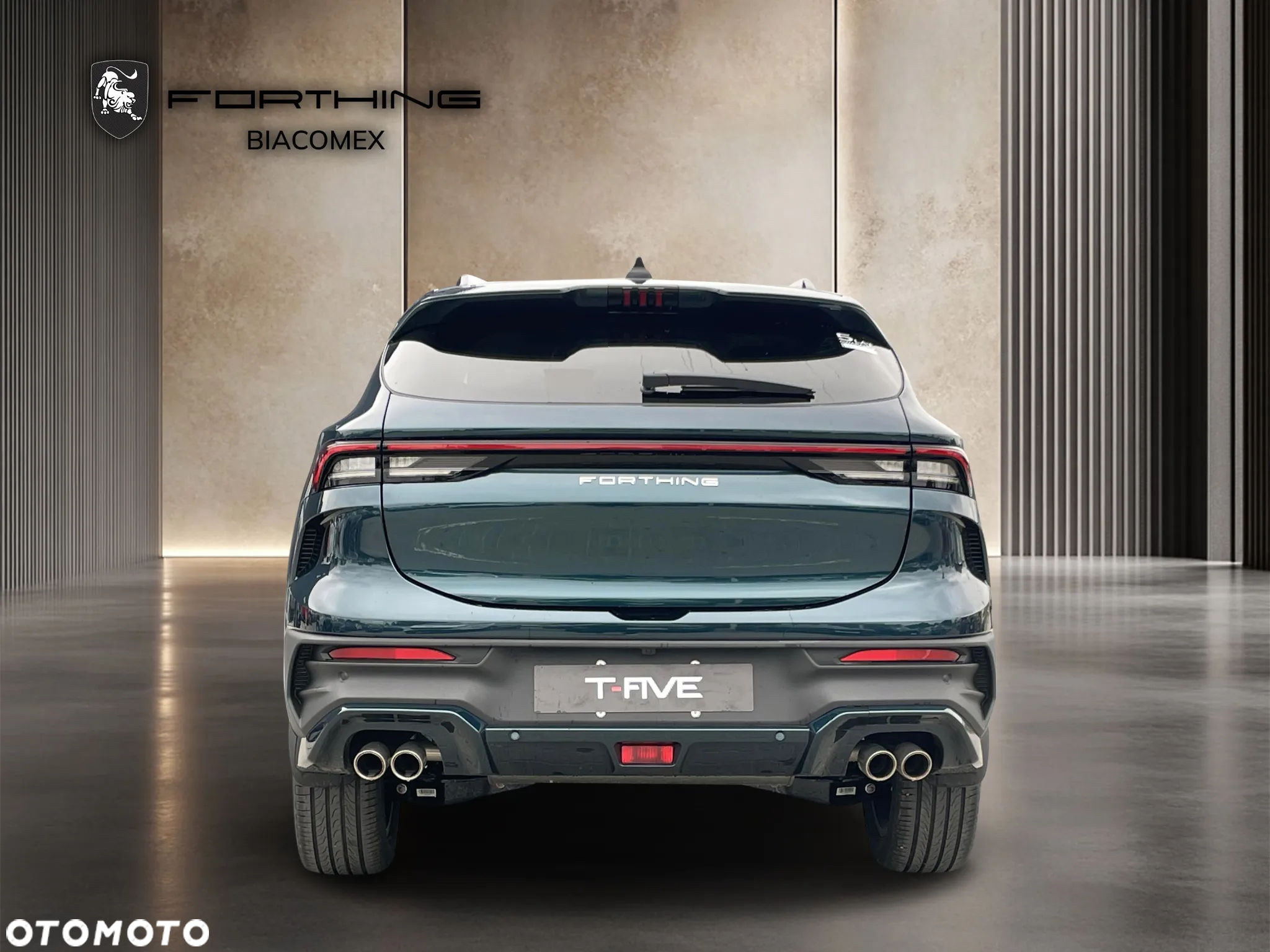 Forthing T5 EVO T-Five 1.5 DVVT GDI DCT - 4