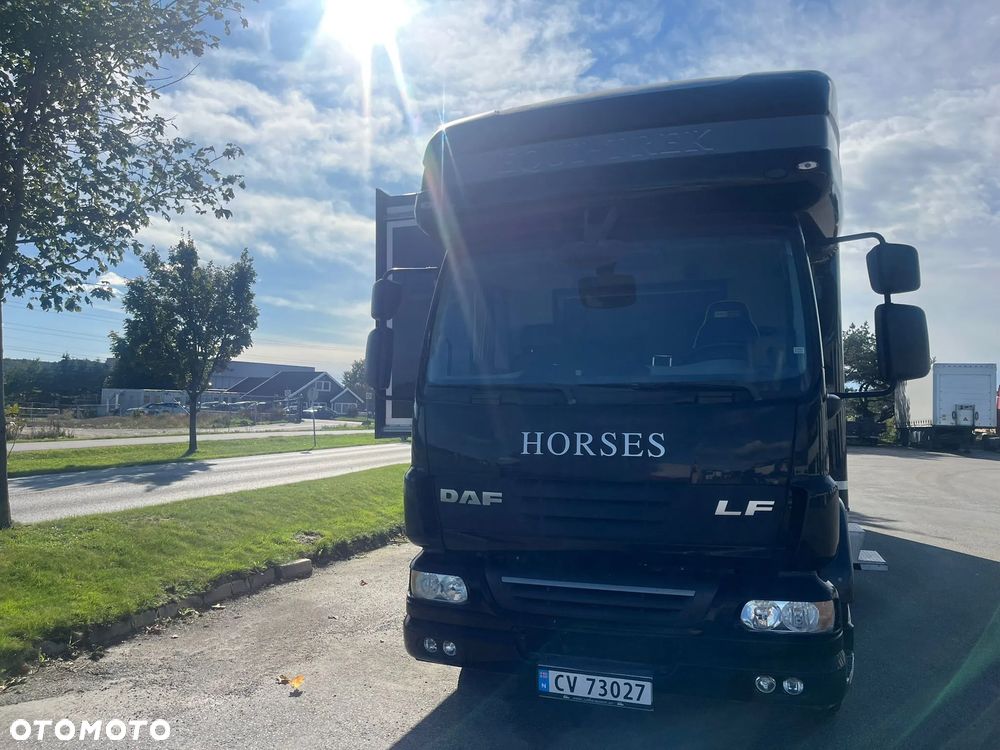 DAF Equitrek Koniowóz, Pop-out - 6