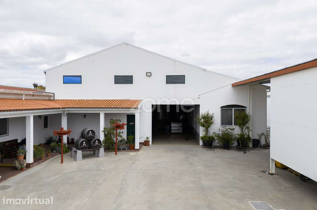 Adega em Funcionamento | Negócio Consolidado com Elevado Potencial - Grande imagem: 3/27