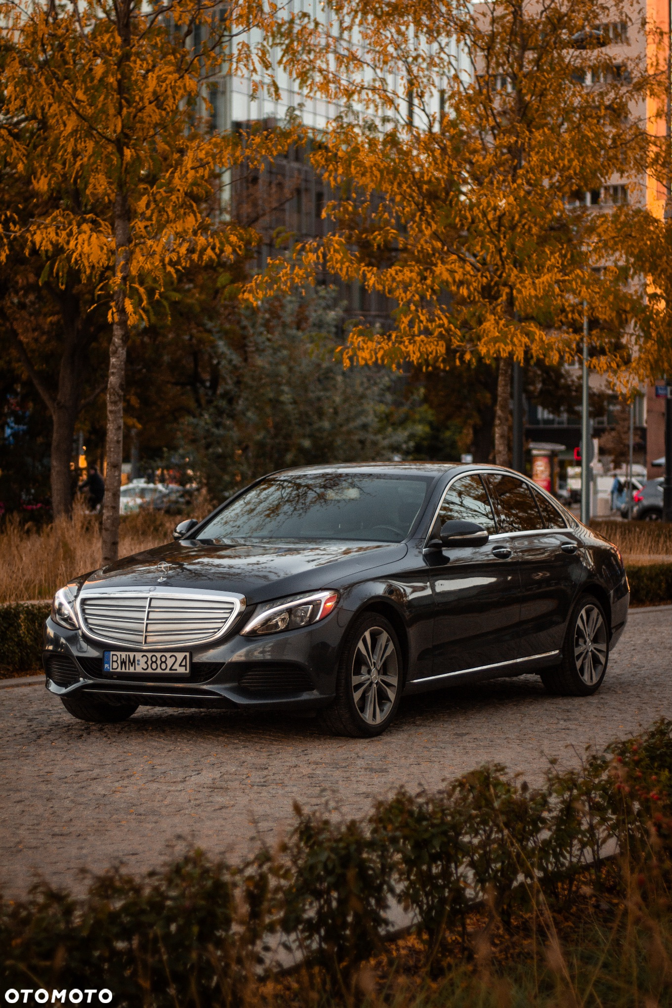 Mercedes-Benz Klasa C 300 7G-TRONIC - 17