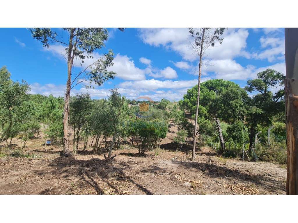 Terreno 12.000 m2 com parte urbana | Lapa, Cartaxo - Grande imagem: 2/6
