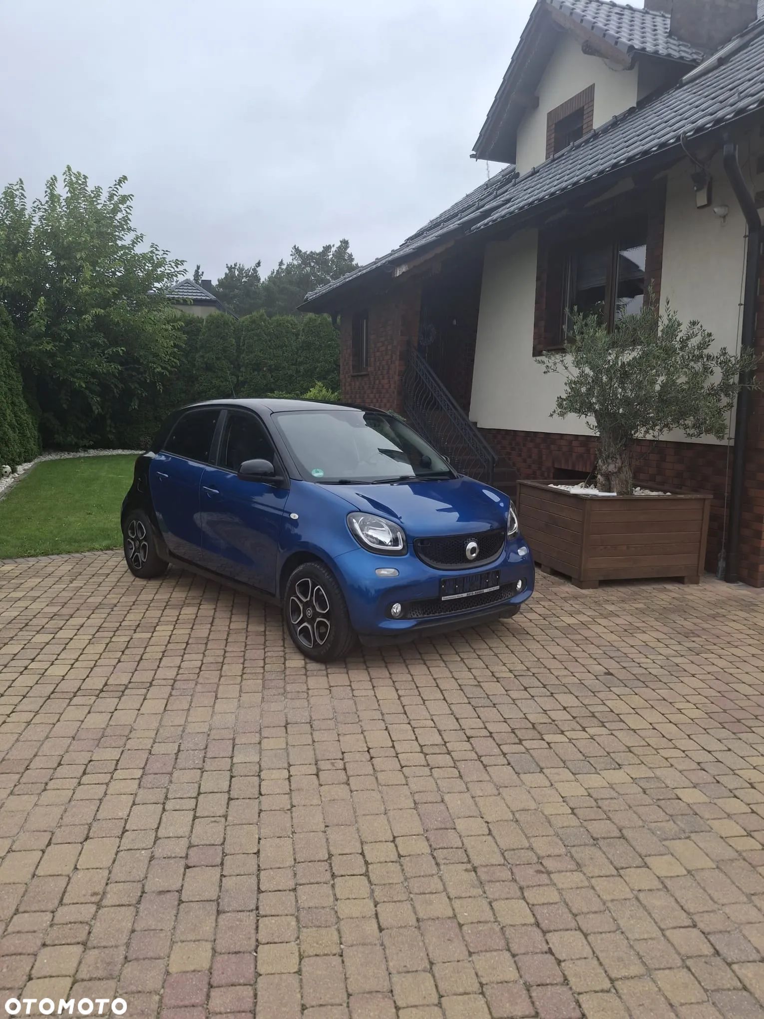 Smart Forfour prime - 1
