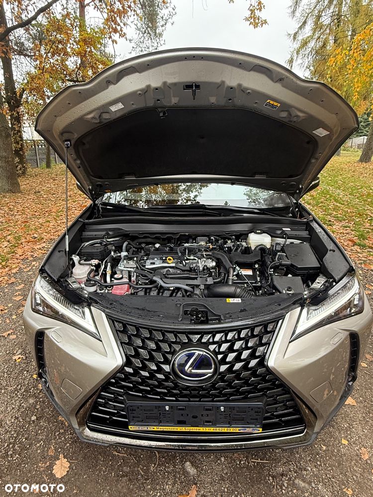Lexus UX - 9