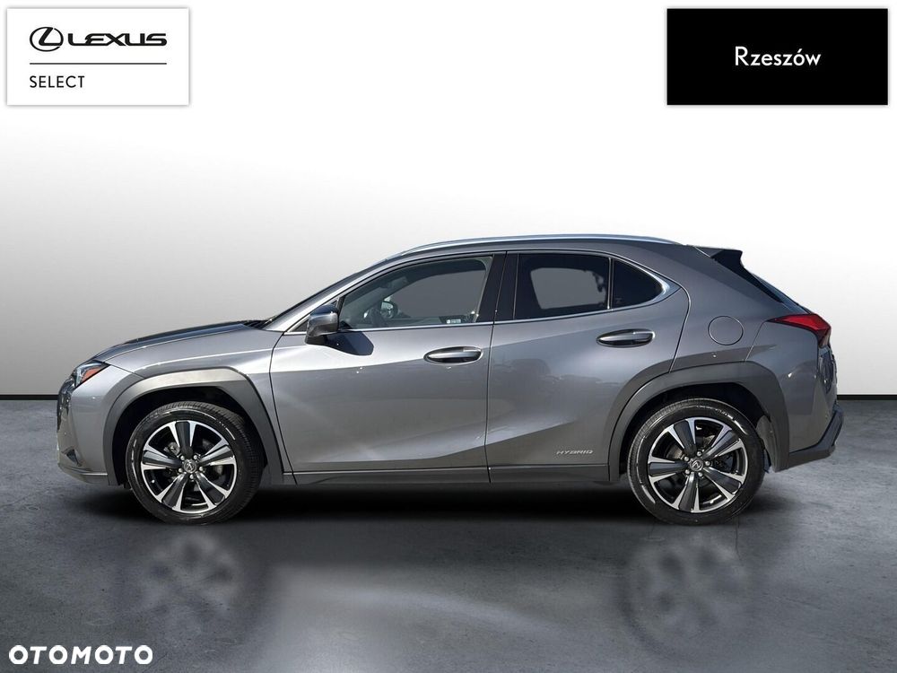 Lexus UX 250h GPF Business Edition 2WD - 2