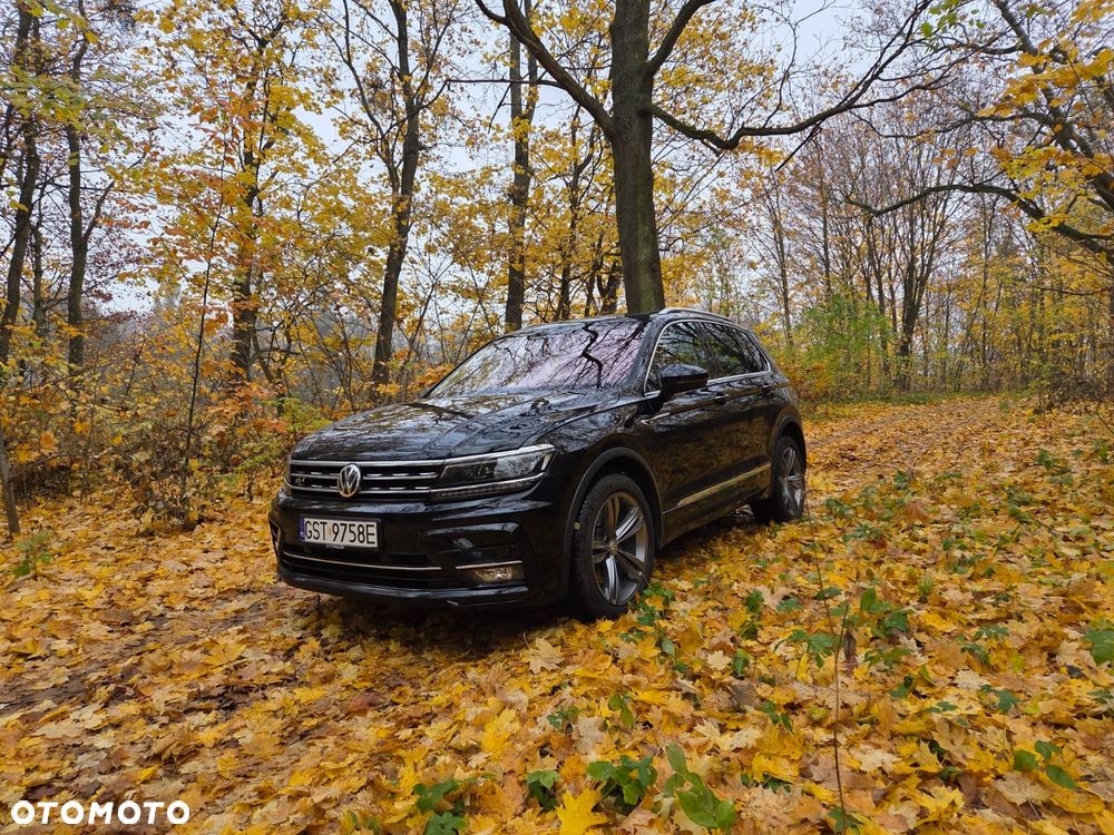 Volkswagen Tiguan - 1