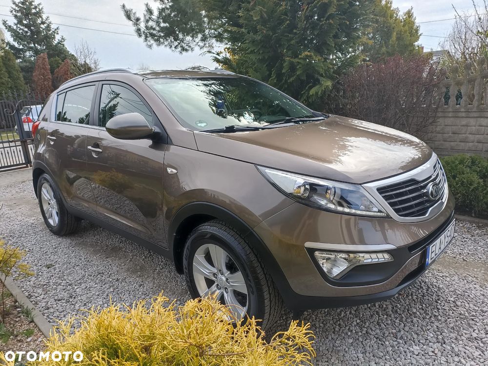 Kia Sportage - 1