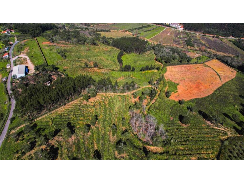 Terreno com 130000m2 destinado à agricultura no Alto da Maiorga - Grande imagem: 2/24