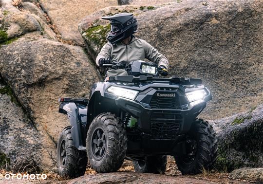 Kawasaki Brute Force - 8