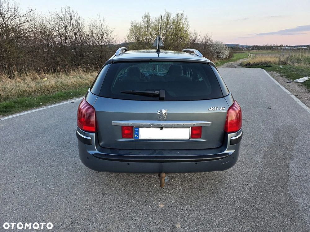 Peugeot 407 135 - 8