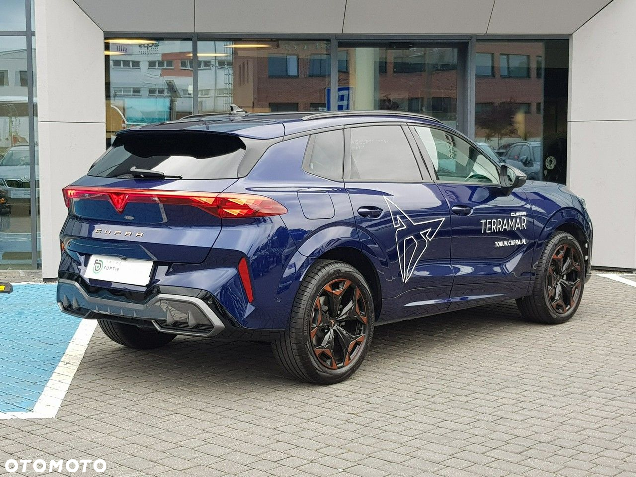 Cupra Terramar - 7