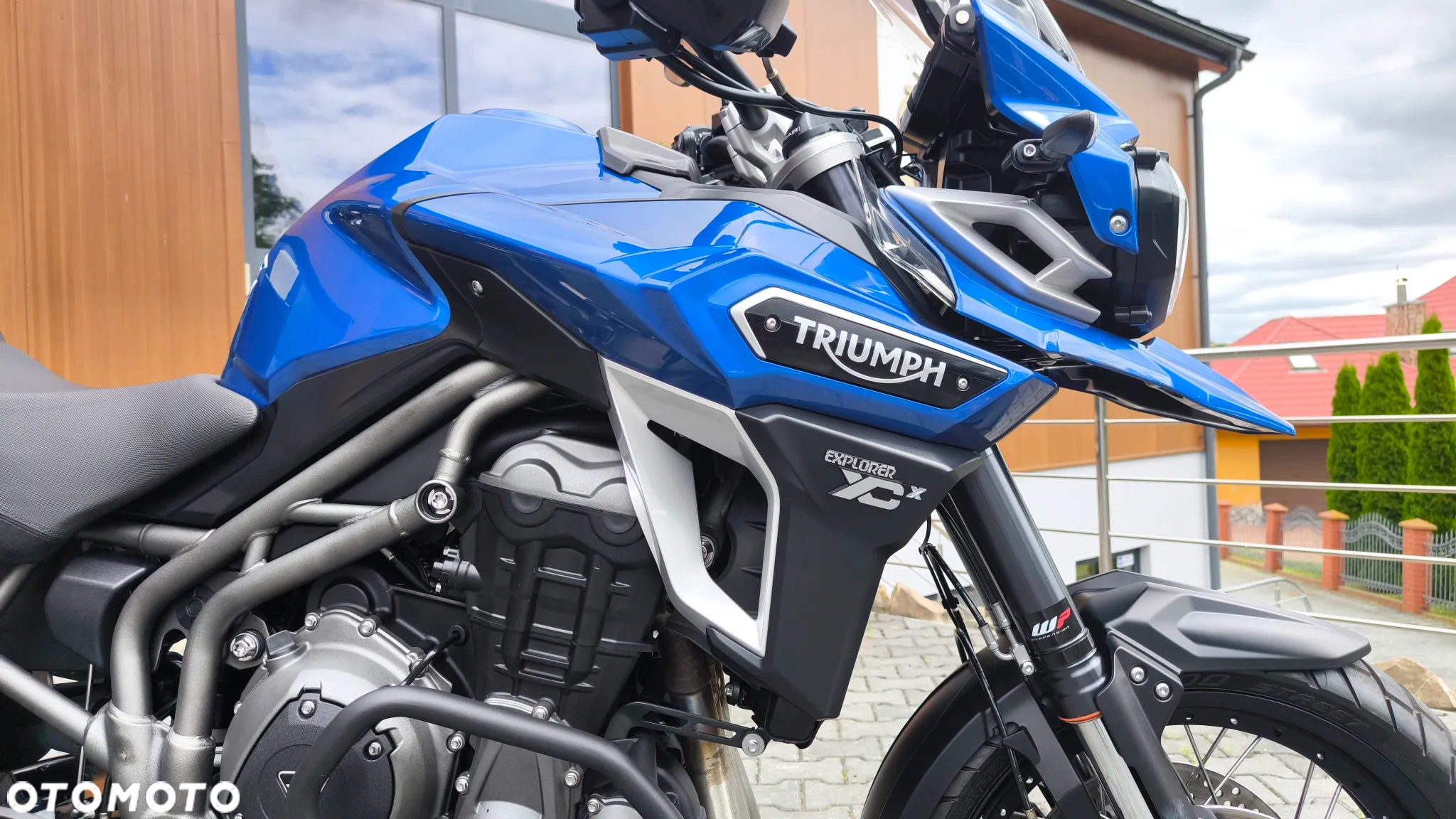 Triumph Tiger - 24