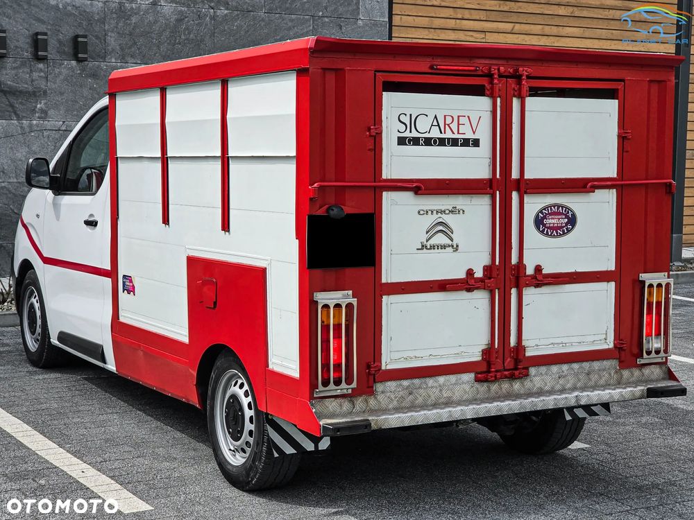 Citroën Jumpy III 2.0 BlueHDi 122KM Zabudowa Do Przewozu Zwierząt - 13