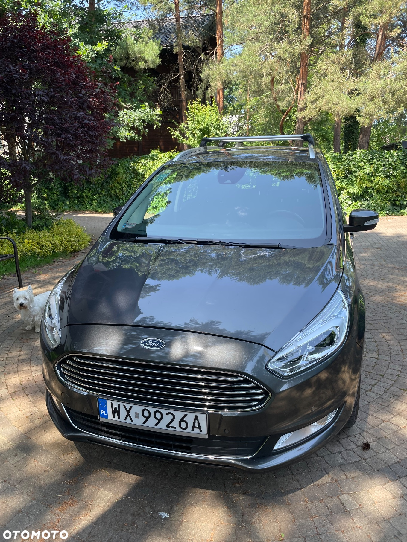 Ford Galaxy 2.0 EcoBlue Titanium PowerShift - 3