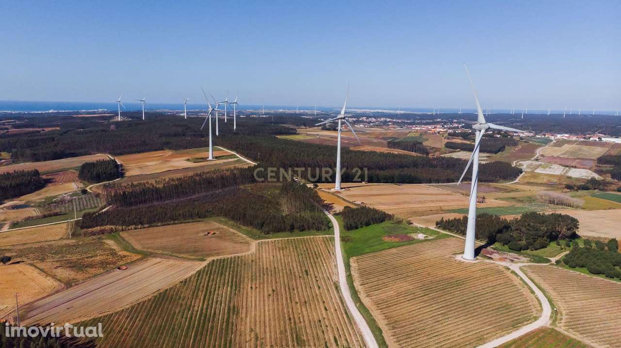 TERRENO COM 12.320M2 PARA CONSTRUÇÃO DE MORADIA - Grande imagem: 5/11