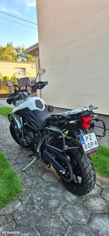 Triumph Tiger - 4