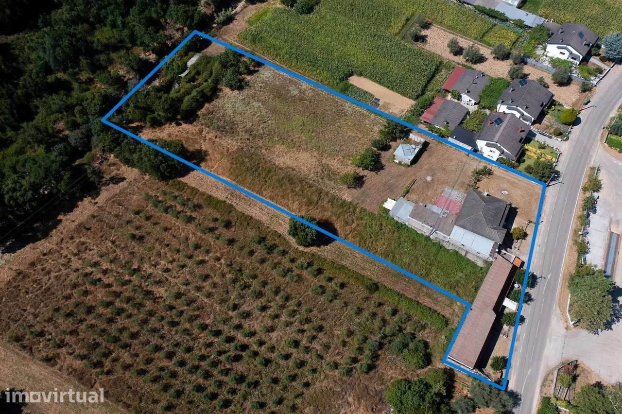 Grande oportunidade de investimento a apenas 2 km de Góis - Grande imagem: 3/45
