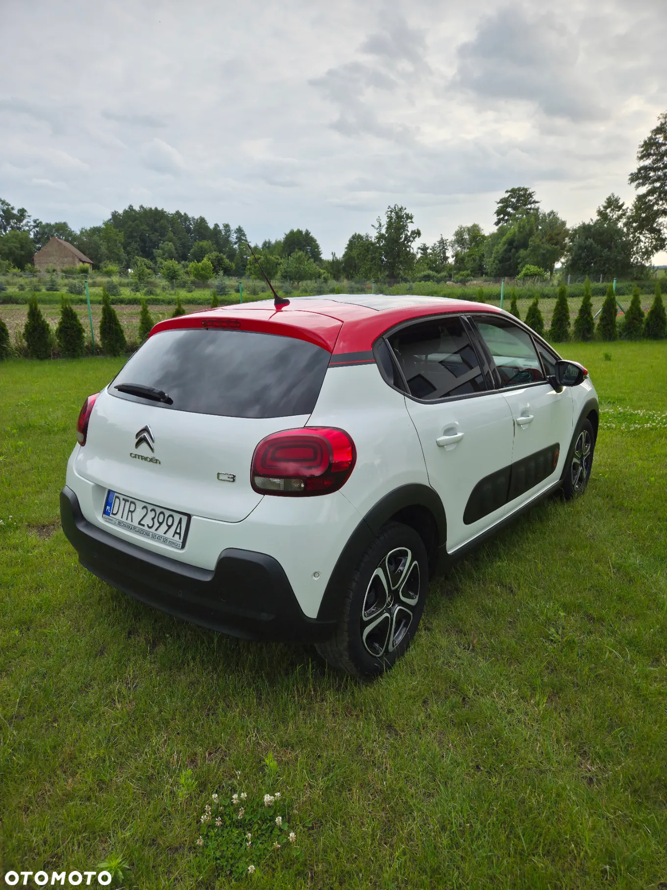 Citroën C3 1.2 PureTech Shine S&S - 7