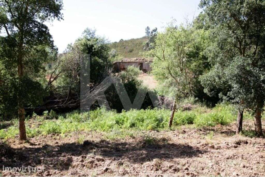 Prédio misto - Serrado - Grande imagem: 3/10